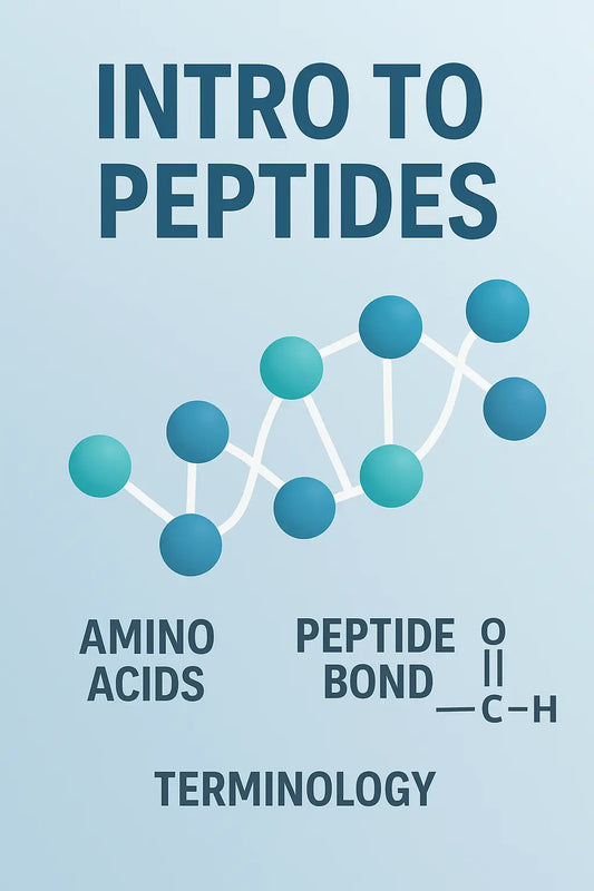 Intro to Peptides | Foundations, Formation & Research Overview - Everwell Peptides