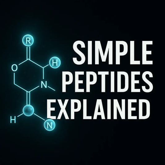 Simple Peptides Explained: Structure, Functions, and Biological Roles - Everwell Peptides